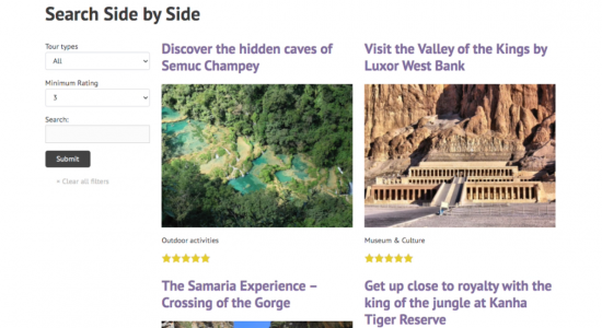 Setting up the View search and results side by side